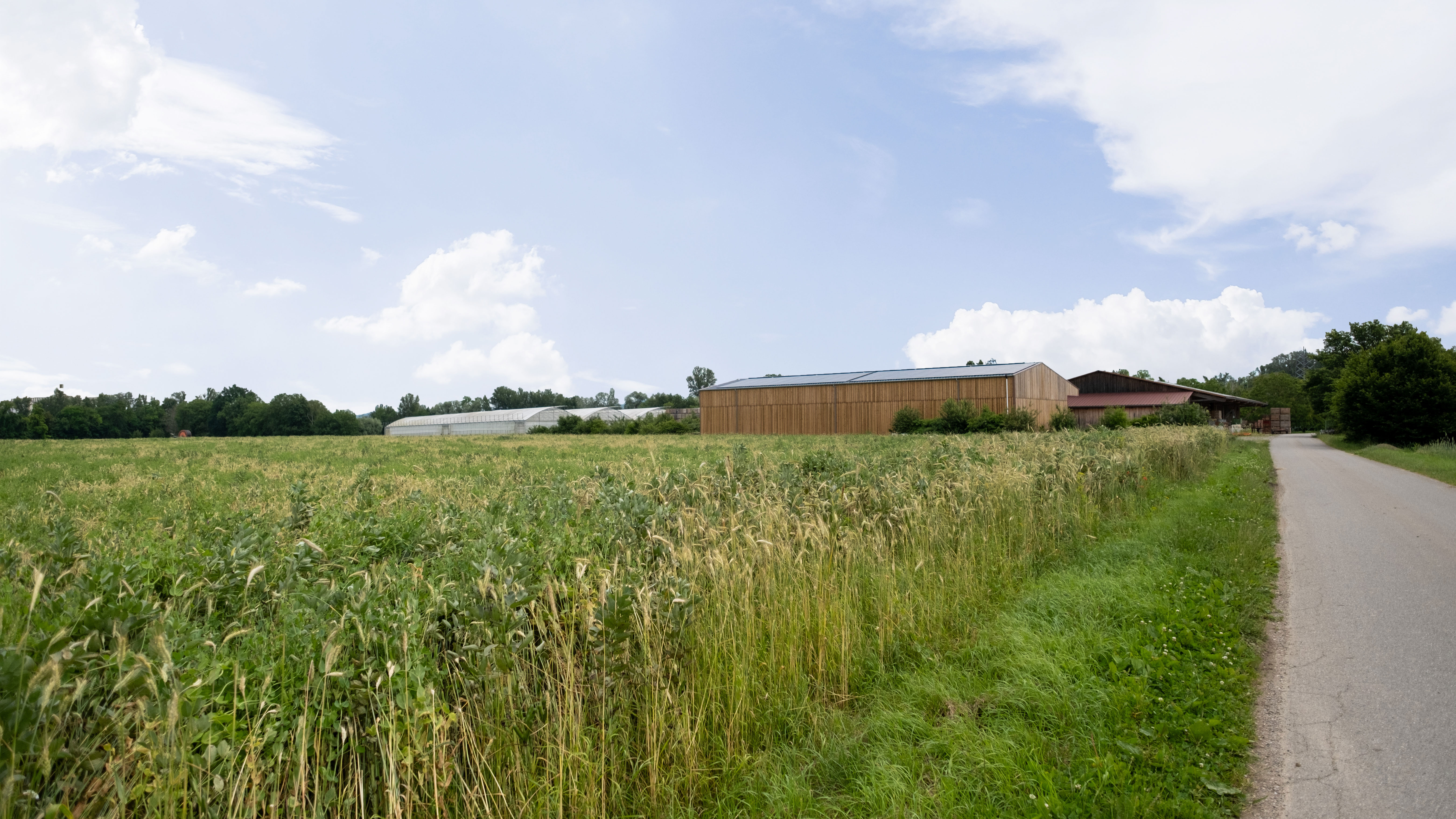 La ferme et les alentours